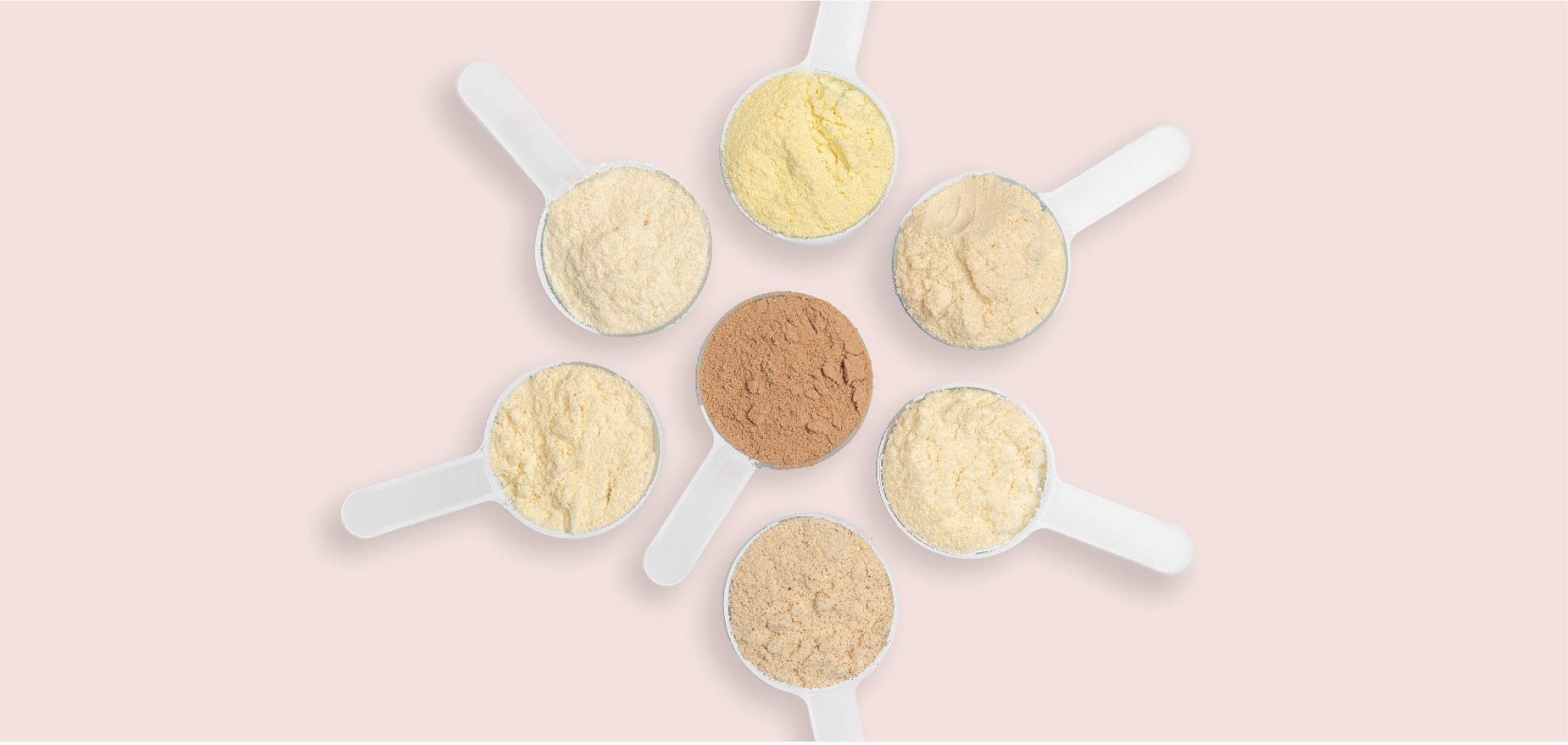 Meal Replacements and Protein